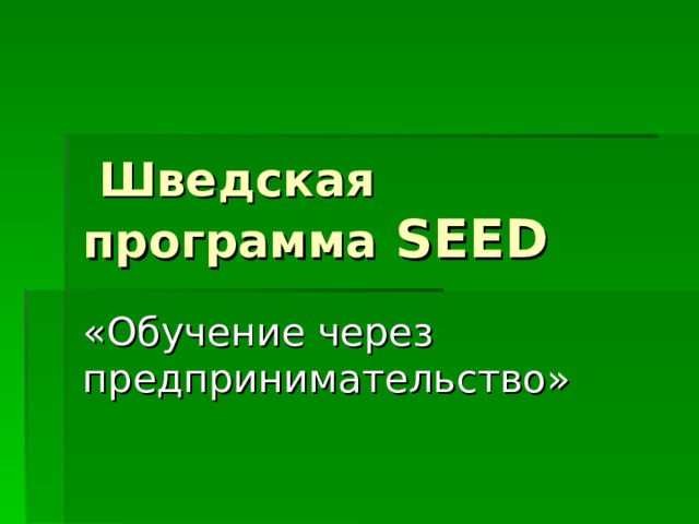  Шведская программа  SEED «Обучение через предпринимательство» 