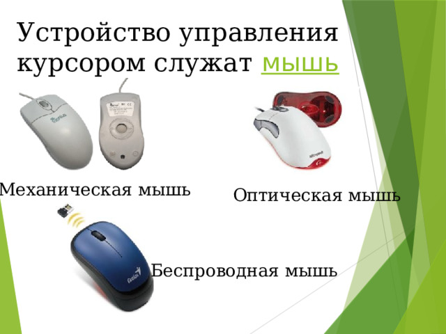 Устройство управления курсором служат мышь Механическая мышь Оптическая мышь Беспроводная мышь 