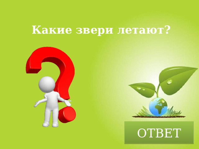 Какие звери летают? ОТВЕТ 
