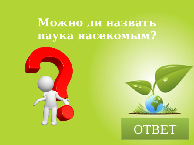 Можно ли назвать паука насекомым? ОТВЕТ 