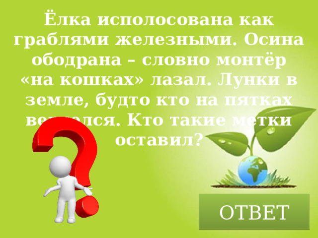 Ёлка исполосована как граблями железными. Осина ободрана – словно монтёр «на кошках» лазал. Лунки в земле, будто кто на пятках вертелся. Кто такие метки оставил? ОТВЕТ 