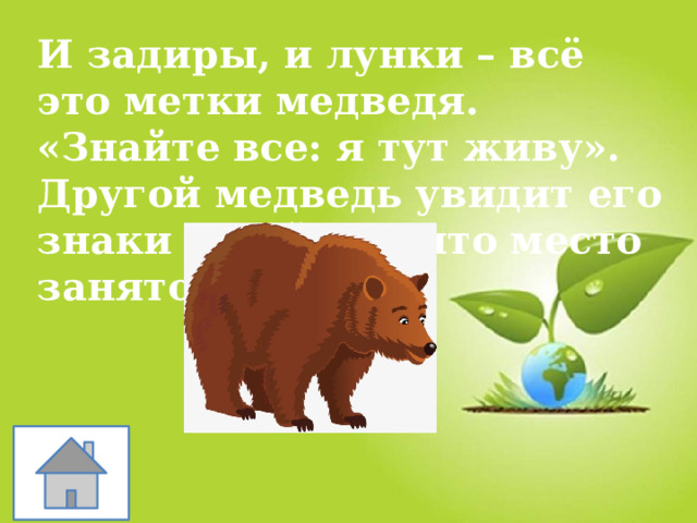 И задиры, и лунки – всё это метки медведя. «Знайте все: я тут живу». Другой медведь увидит его знаки и поймет, что место занято. 