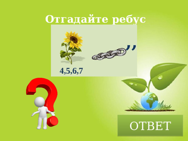 Отгадайте ребус ОТВЕТ 