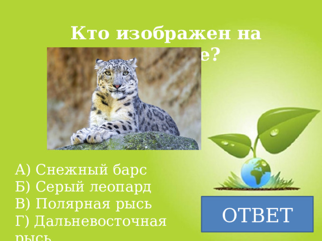 Кто изображен на картинке? А) Снежный барс Б) Серый леопард В) Полярная рысь Г) Дальневосточная рысь ОТВЕТ 