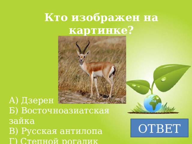 Кто изображен на картинке? А) Дзерен Б) Восточноазиатская зайка В) Русская антилопа Г) Степной рогалик ОТВЕТ 