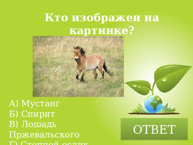 Кто изображен на картинке? А) Мустанг Б) Спирит В) Лошадь Пржевальского Г) Степной ослик ОТВЕТ 