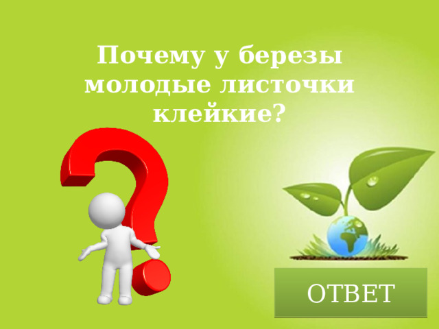 Почему у березы молодые листочки клейкие? ОТВЕТ 