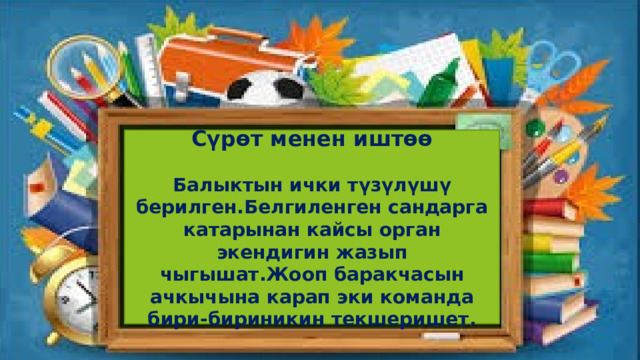 Сүрөт менен иштөө Балыктын ички түзүлүшү берилген.Белгиленген сандарга катарынан кайсы орган экендигин жазып чыгышат.Жооп баракчасын ачкычына карап эки команда бири-бириникин текшеришет.  