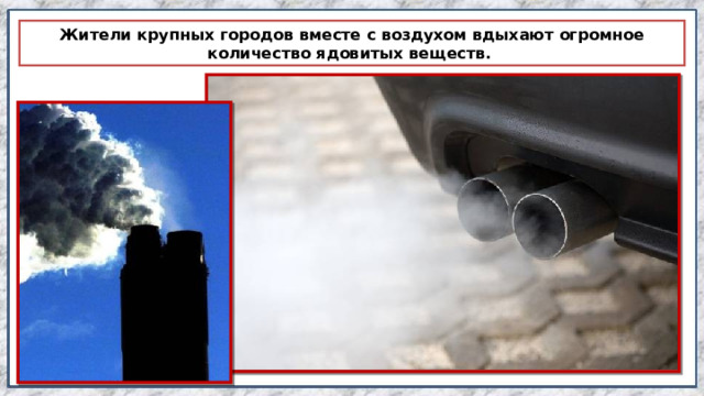 Жители крупных городов вместе с воздухом вдыхают огромное количество ядовитых веществ. 