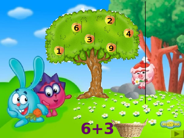 6+3 