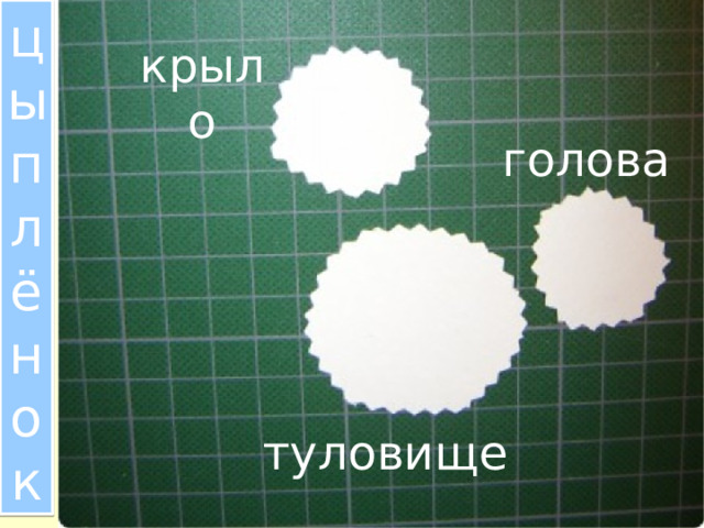 цыплёнок крыло голова туловище 