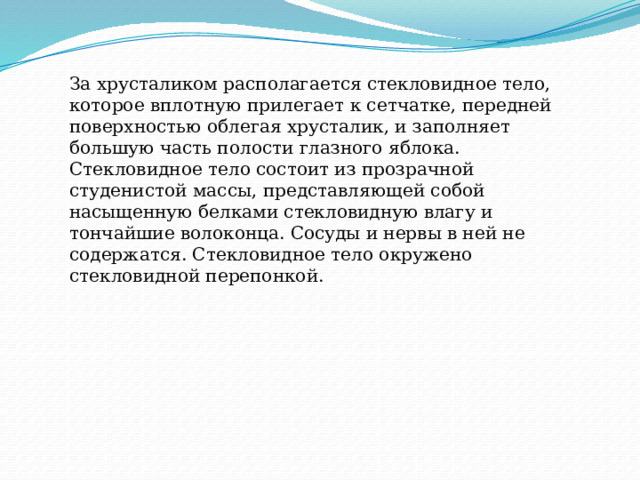 За хрусталиком располагается стекловидное тело, которое вплотную прилегает к сетчатке, передней поверхностью облегая хрусталик, и заполняет большую часть полости глазного яблока. Стекловидное тело состоит из прозрачной студенистой массы, представляющей собой насыщенную белками стекловидную влагу и тончайшие волоконца. Сосуды и нервы в ней не содержатся. Стекловидное тело окружено стекловидной перепонкой. 
