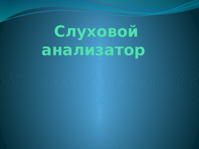 Слуховой анализатор 