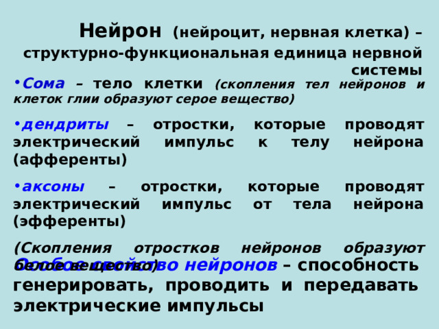Нейрон  (нейроцит, нервная клетка) – структурно-функциональная единица нервной системы Сома – тело клетки  (скопления тел нейронов и клеток глии образуют серое вещество) дендриты – отростки, которые проводят электрический импульс к телу нейрона (афференты) аксоны – отростки, которые проводят электрический импульс от тела нейрона (эфференты) (Скопления отростков нейронов образуют белое вещество) Особое свойство нейронов – способность генерировать, проводить и передавать электрические импульсы 