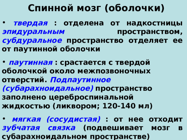 Спинной мозг (оболочки)  твердая  : отделена от надкостницы эпидуральным пространством, субдуральное пространство отделяет ее от паутинной оболочки  паутинная  : срастается с твердой оболочкой около межпозвоночных отверстий. Подпаутинное (субарахноидальное) пространство заполнено цереброспинальной жидкостью (ликвором; 120-140 мл)   мягкая (сосудистая)  : от нее отходит зубчатая связка (подвешивает мозг в субарахноидальном пространстве) 