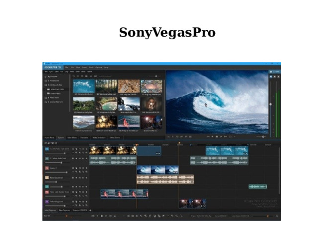 SonyVegasPro 