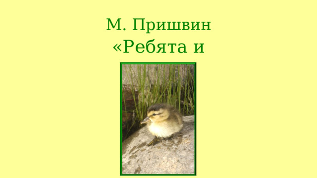 М. Пришвин «Ребята и утята» 