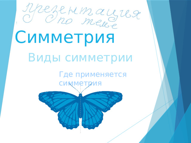 Симметрия Виды симметрии Где применяется симметрия  