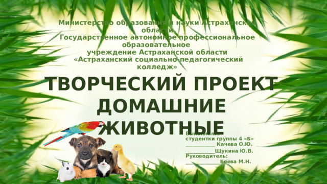 ТВОРЧЕСКИЙ ПРОЕКТ  ДОМАШНИЕ ЖИВОТНЫЕ Министерство образования и науки Астраханской области  Государственное автономное профессиональное образовательное  учреждение Астраханской области  «Астраханский социально-педагогический колледж»                        Выполнили:  студентки группы 4 «Б»  ____________ Качева О.Ю. ____________Щукина Ю.В.   Руководитель:  ______________Боева М.Н.          