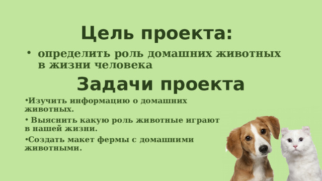 Цель проекта: определить роль домашних животных в жизни человека Задачи проекта Изучить информацию о домашних животных.                                                                  Выяснить какую роль животные играют в нашей жизни. Создать макет фермы с домашними животными. 
