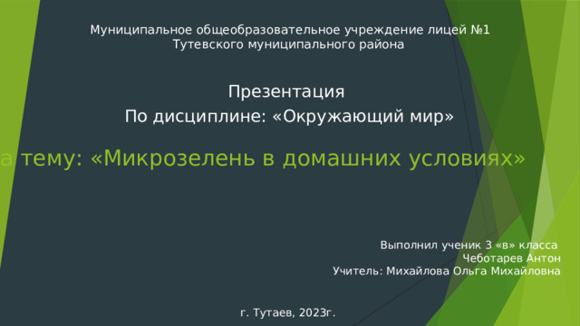 Муниципальное общеобразовательное учреждение лицей №1 Тутевского муниципального района Презентация  По дисциплине: «Окружающий мир» На тему: «Микрозелень в домашних условиях» Выполнил ученик 3 «в» класса Чеботарев Антон Учитель: Михайлова Ольга Михайловна г. Тутаев, 2023г. 