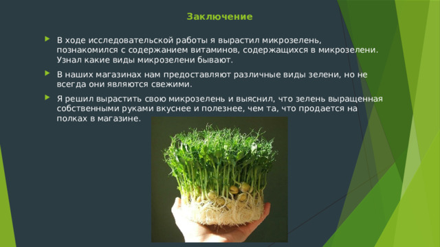 Заключение В ходе исследовательской работы я вырастил микрозелень, познакомился с содержанием витаминов, содержащихся в микрозелени. Узнал какие виды микрозелени бывают. В наших магазинах нам предоставляют различные виды зелени, но не всегда они являются свежими. Я решил вырастить свою микрозелень и выяснил, что зелень выращенная собственными руками вкуснее и полезнее, чем та, что продается на полках в магазине. 