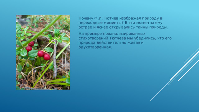 Почему Ф.И. Тютчев изображал природу в переходные моменты? В эти моменты ему острее и яснее открывались тайны природы. На примере проанализированных стихотворений Тютчева мы убедились, что его природа действительно живая и одухотворенная. 