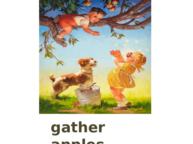 gather apples 