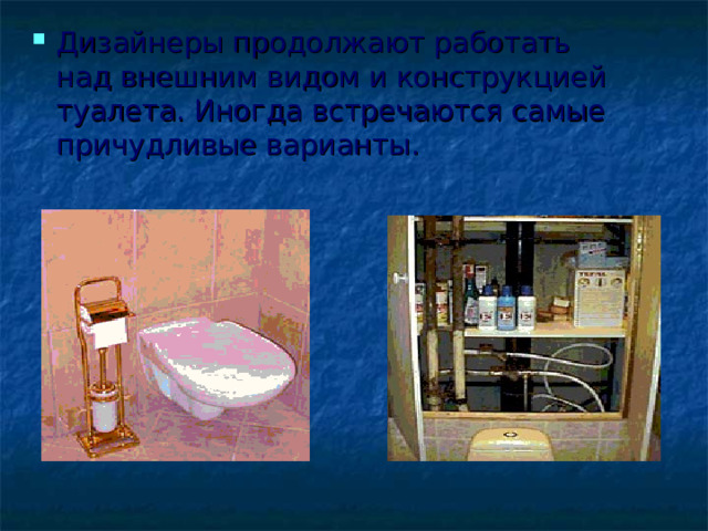 Дизайнеры продолжают работать над внешним видом и конструкцией туалета. Иногда встречаются самые причудливые варианты. 
