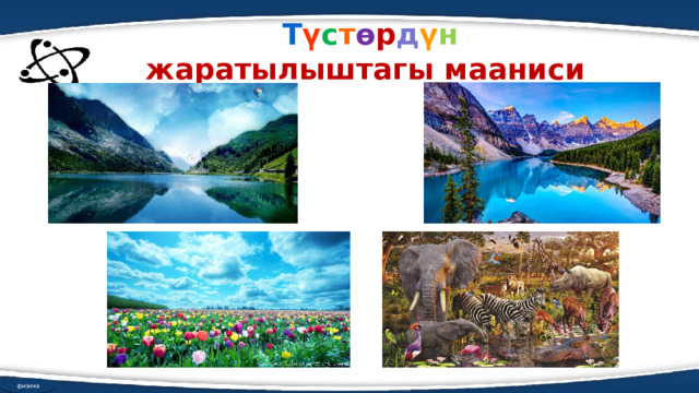  Т ү с т ө р д ү н жаратылыштагы мааниси    физика 