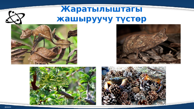 Жаратылыштагы жашыруучу түстөр физика 