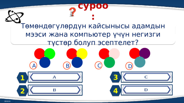 суроо: Төмөндөгүлөрдүн кайсынысы адамдын мээси жана компьютер үчүн негизги түстөр болуп эсептелет? C A B D 3     1   4 2   физика 