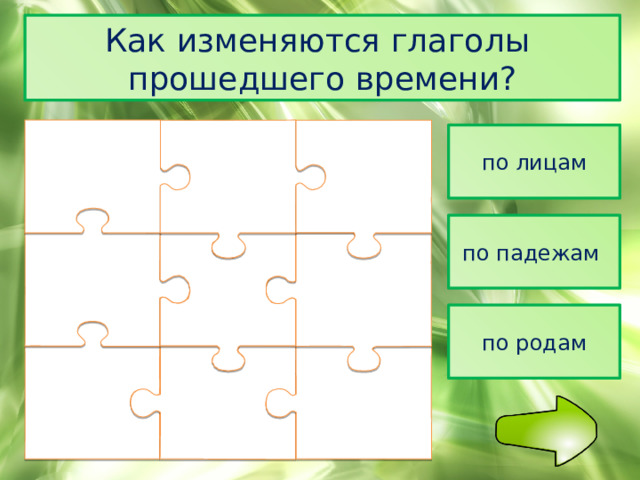 Как изменяются глаголы прошедшего времени? по лицам по падежам по родам 