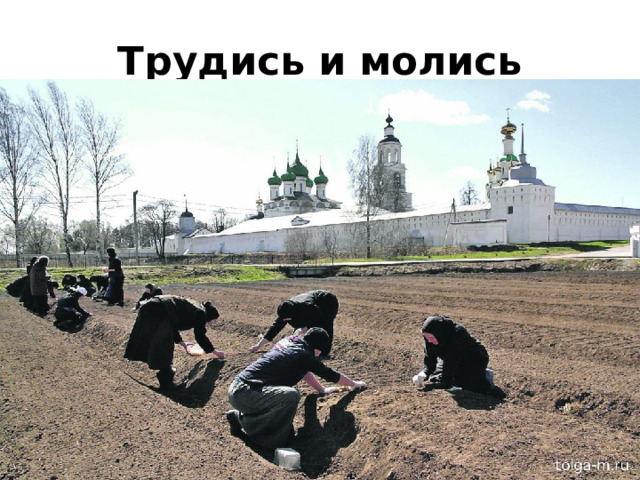 Трудись и молись 