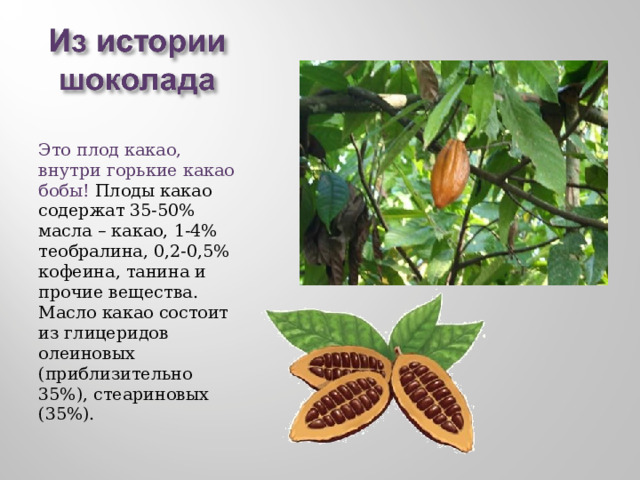 Это плод какао, внутри горькие какао бобы! Плоды какао содержат 35-50% масла – какао, 1-4% теобралина, 0,2-0,5% кофеина, танина и прочие вещества. Масло какао состоит из глицеридов олеиновых (приблизительно 35%), стеариновых (35%). 
