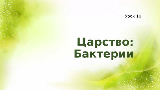 Урок 10 Царство: Бактерии 