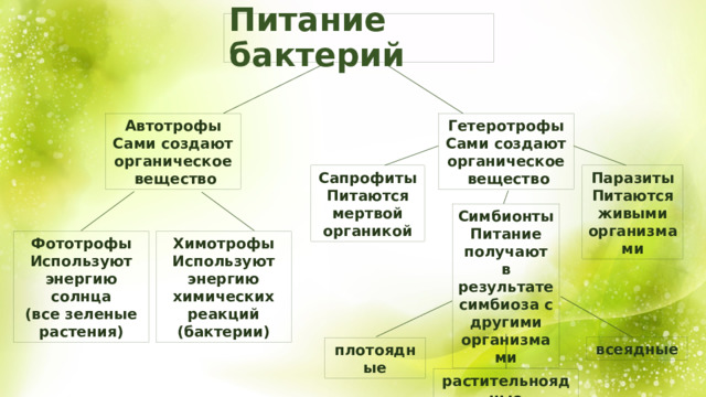 Питание бактерий Автотрофы Гетеротрофы Сами создают Сами создают органическое органическое  вещество  вещество Паразиты Сапрофиты Питаются живыми организмами Питаются мертвой органикой Симбионты Питание получают в результате симбиоза с другими организмами Химотрофы Фототрофы Используют энергию солнца Используют энергию химических реакций (бактерии) (все зеленые растения) всеядные плотоядные растительноядные 