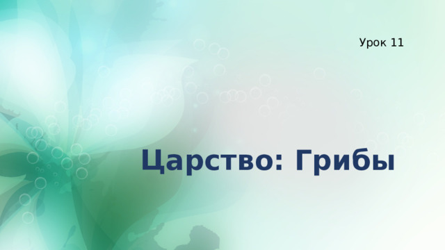 Урок 11 Царство: Грибы 