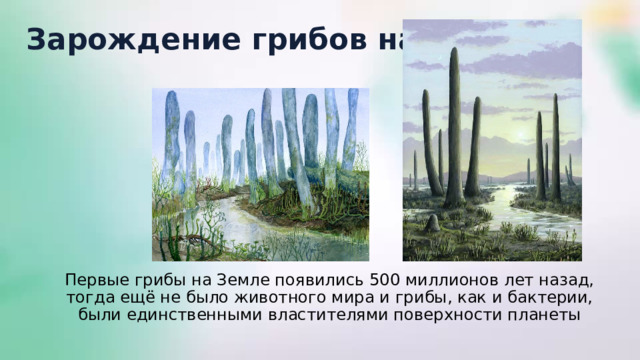Зарождение грибов на Земле Первые грибы на Земле появились 500 миллионов лет назад, тогда ещё не было животного мира и грибы, как и бактерии, были единственными властителями поверхности планеты 