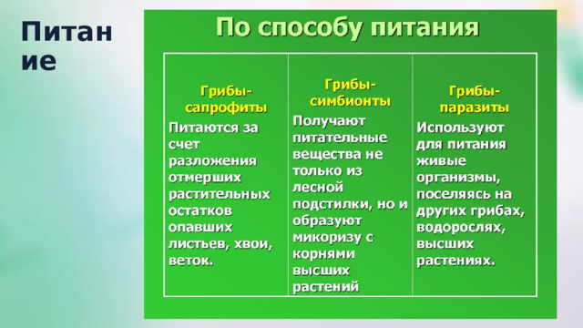 Питание 