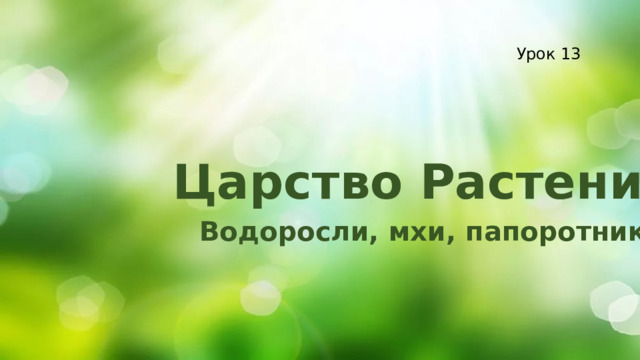 Урок 13 Царство Растения Водоросли, мхи, папоротники 