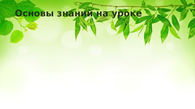 Основы знаний на уроке 