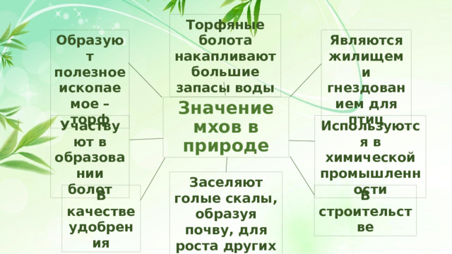 Торфяные болота накапливают большие запасы воды Являются жилищем и гнездованием для птиц Образуют полезное ископаемое – торф Значение мхов в природе Используются в химической промышленности Участвуют в образовании болот Заселяют голые скалы, образуя почву, для роста других растений В качестве удобрения В строительстве 