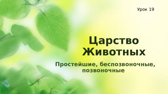 Урок 19 Царство Животных Простейшие, беспозвоночные, позвоночные 