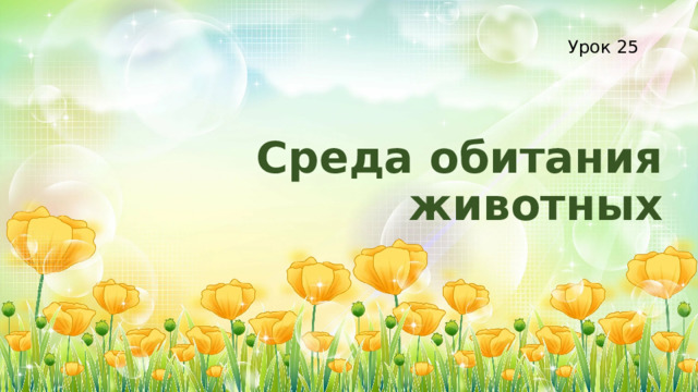 Урок 25 Среда обитания животных 