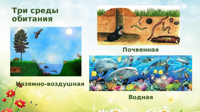 Три среды обитания Почвенная Наземно-воздушная Водная 