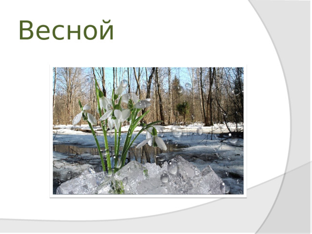 Весной 