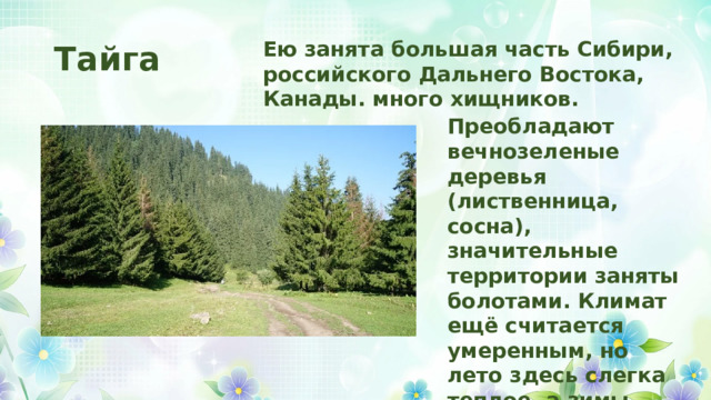 Тайга Ею занята большая часть Сибири, российского Дальнего Востока, Канады. много хищников. Преобладают вечнозеленые деревья (лиственница, сосна), значительные территории заняты болотами. Климат ещё считается умеренным, но лето здесь слегка теплое, а зимы суровые (до – 40°С). Среди животных 
