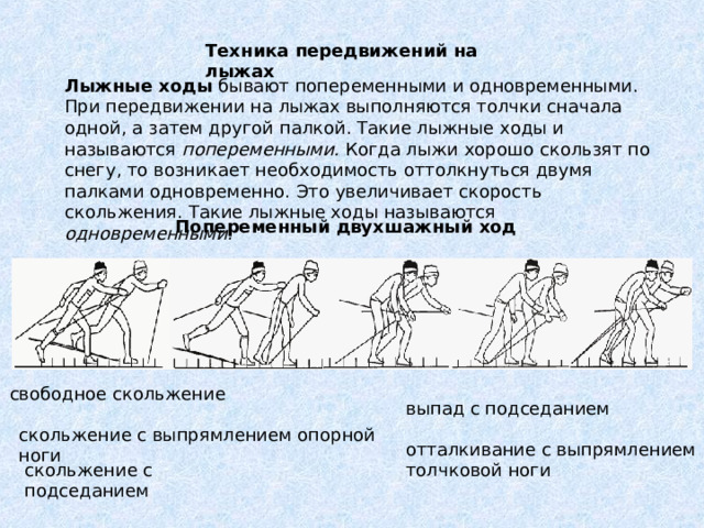  Техника передвижений на лыжах Лыжные ходы попеременными. одновременными. Попеременный двухшажный ход выпад с подседанием скольжение с подседанием 