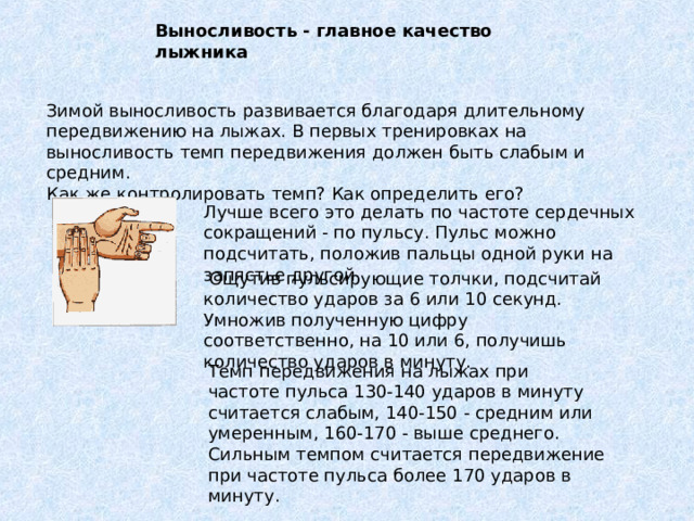 Выносливость - главное качество лыжника 